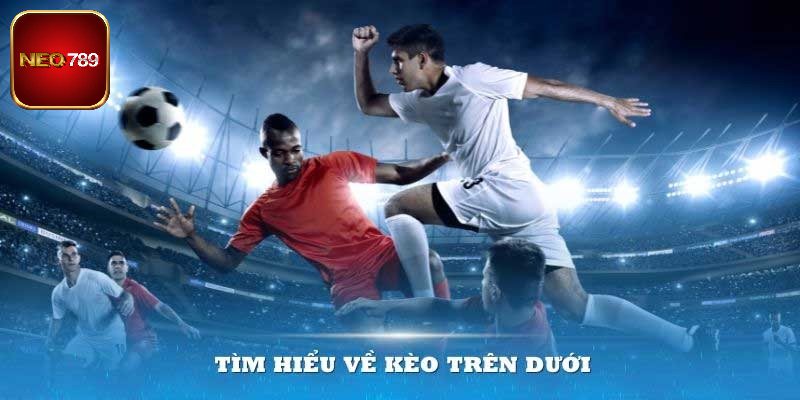Cách tính tiền lời siêu chi tiết cho tay cược