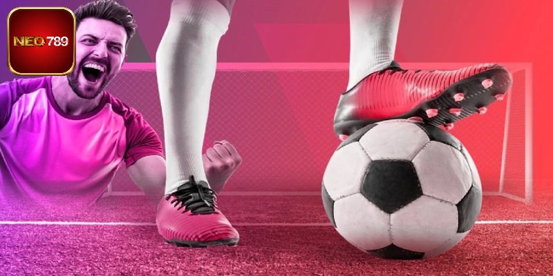 Kèo Trên Kèo Dưới Là Gì - Lý Do Kèo Này Hấp Dẫn Tay Cược