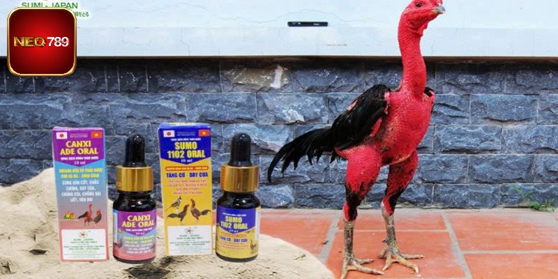 Thuốc bổ sung vitamin dùng hằng ngày siêu chất lượng