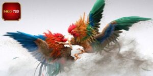 Trường Gà Savan - Thiên Đường Giải Trí Tuyệt Đỉnh Ở Neo789